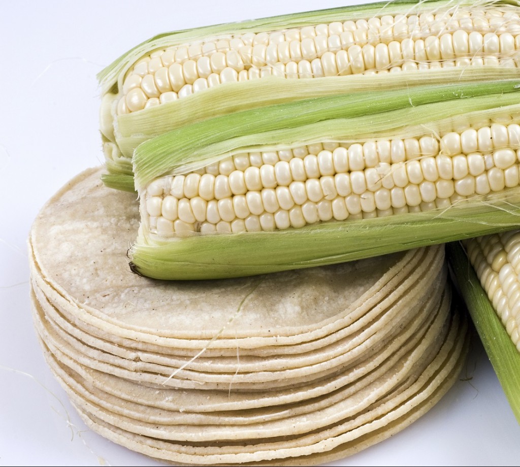 4 inch White Corn Tortilla StackSmall2 The FoodFellas