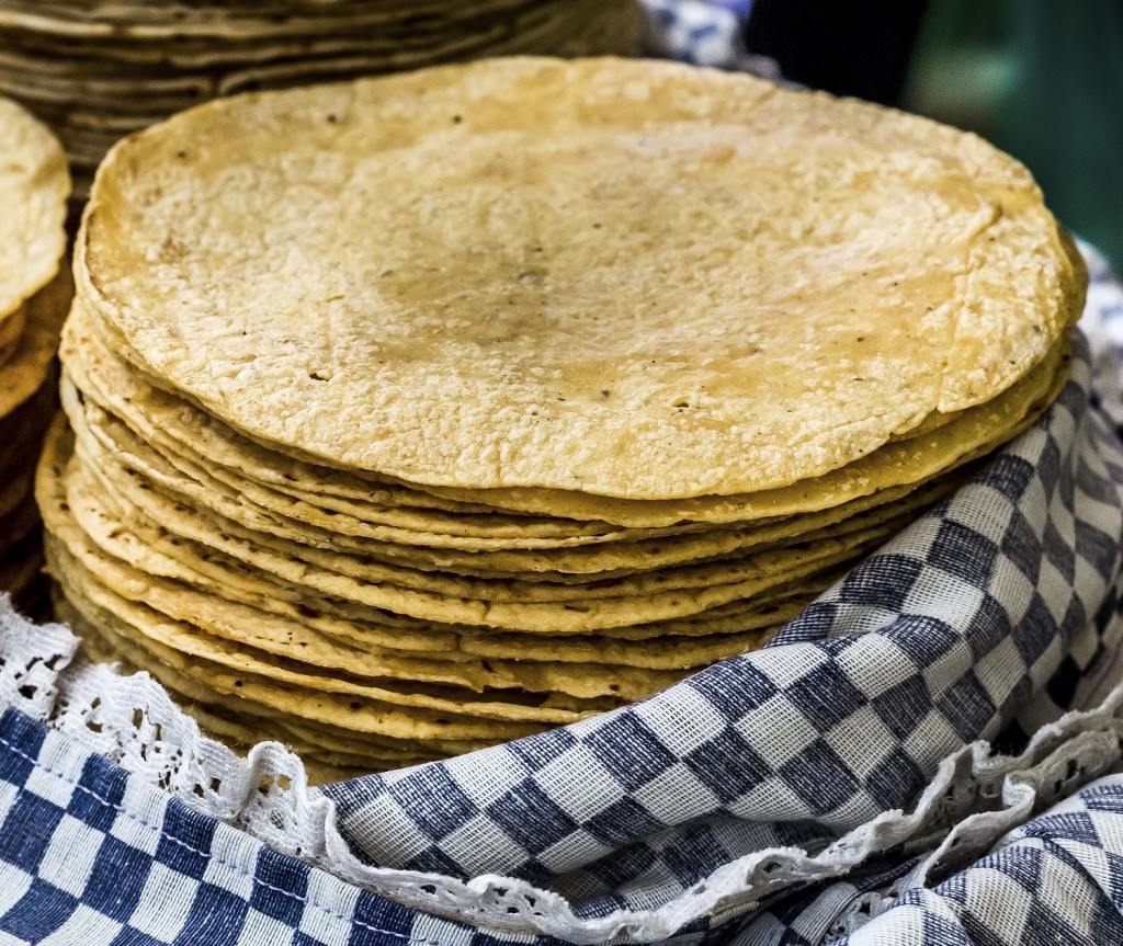 Corn Tortillas The FoodFellas
