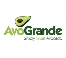 AvoGrande