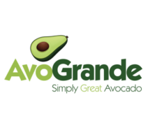 AvoGrande